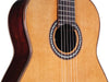 Cordoba C10 CD Nylon String Acoustic Guitar w/Canadian Cedar Top, Softshell Case